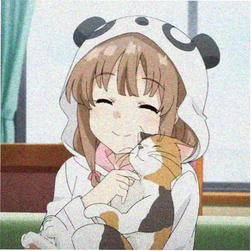 资深追番达人头像